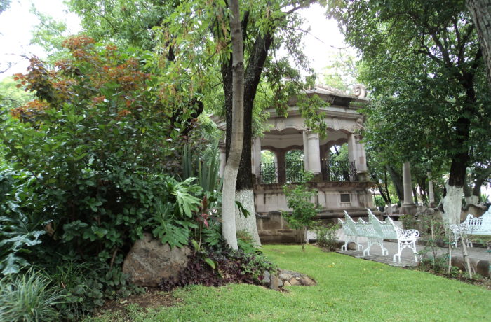 Jardín detallado