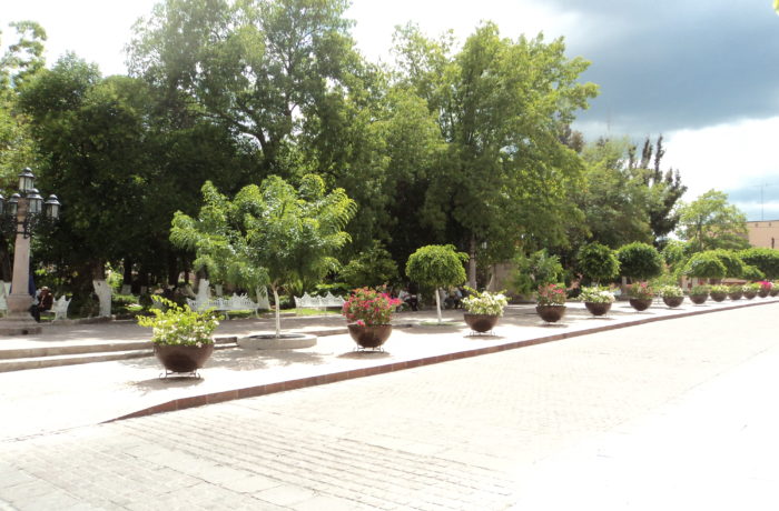 Jardín Morelos