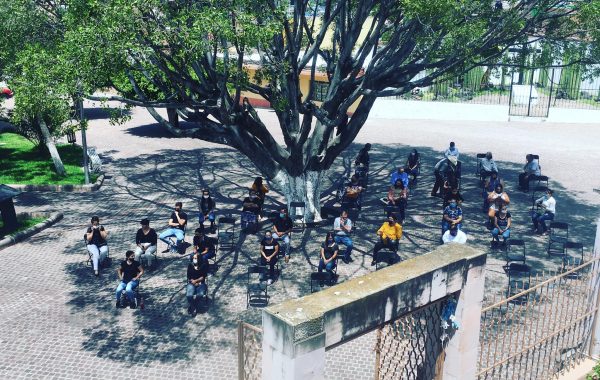 Al cobijo de un árbol