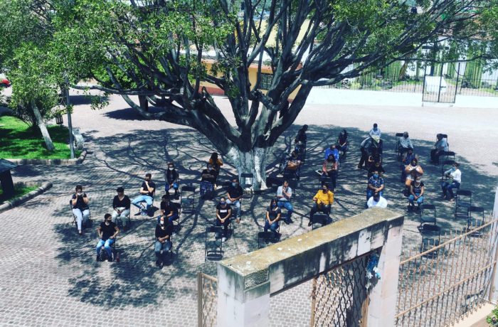 Al cobijo de un árbol