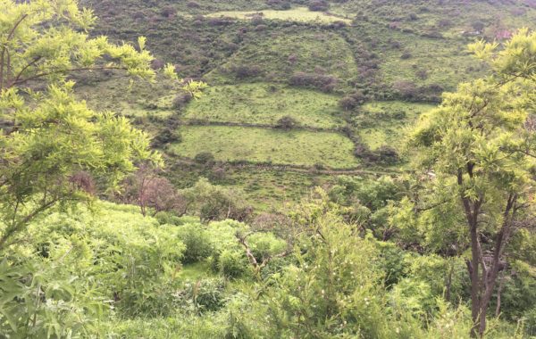 La fe camina entre montañas