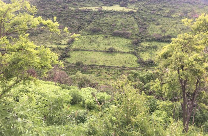 La fe camina entre montañas